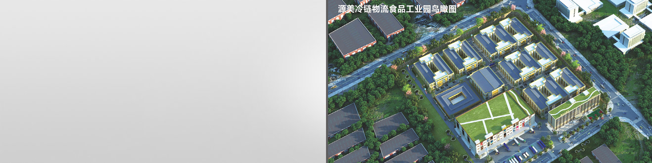 公司外观