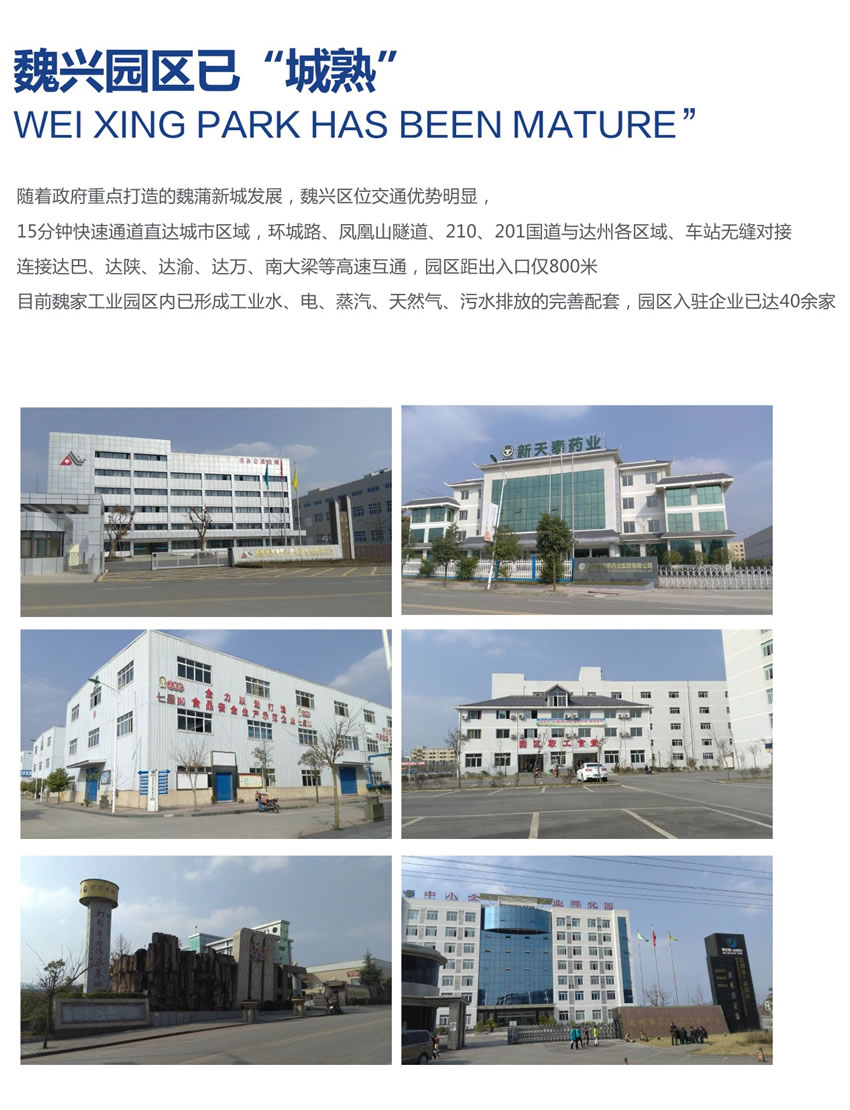 园区俯瞰